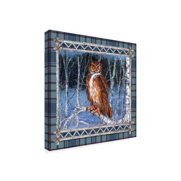 Sher Sester 'Birch Frame Plaid Owl' Canvas Art,18x18